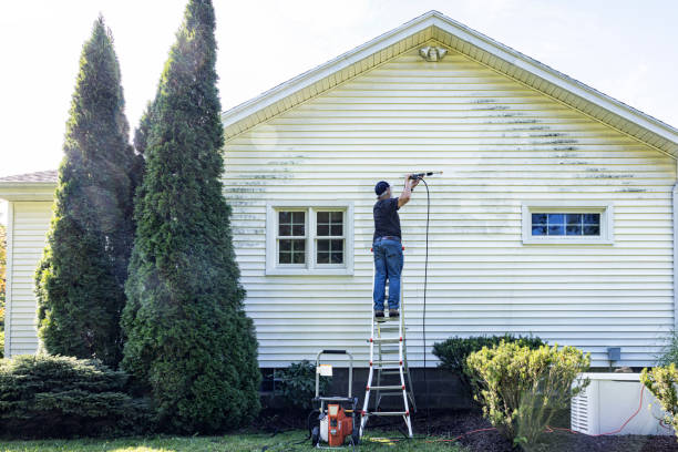 Best Fence Cleaning and Maintenance in Sellersburg, IN